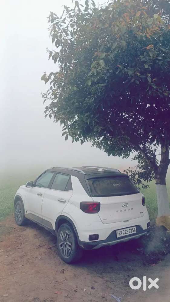 Hyundai Venue 2021 Petrol 45000 Km Driven