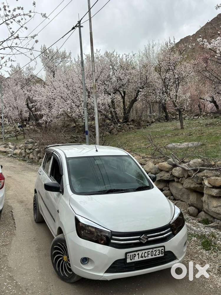 Maruti Suzuki Car 2014