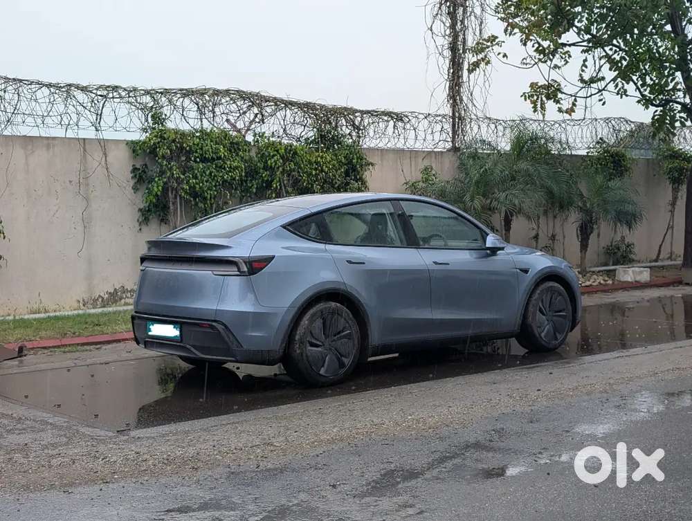 2026 Model Y