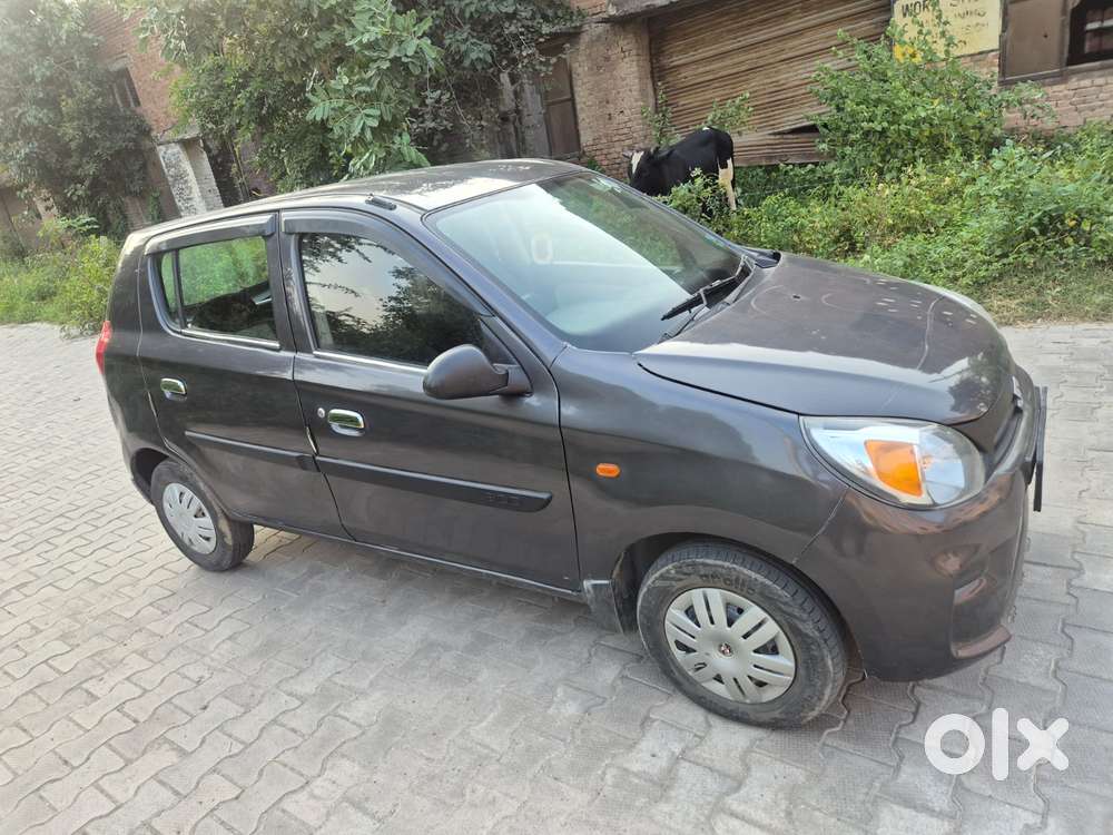 Maruti Suzuki Alto 800 Cng Lxi Optional, 2019, Cng & Hybrids
