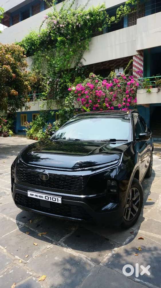 Tata Safari 2024 Facelift Pure Plus S Dk At