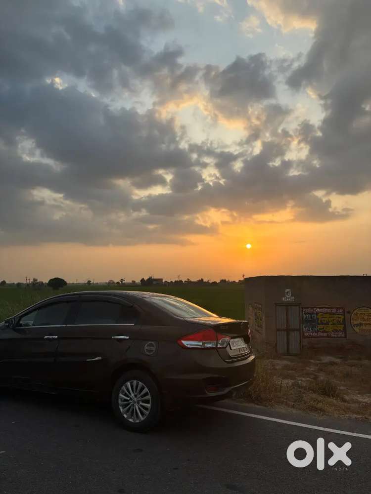 Maruti Suzuki Ciaz 2016 Diesel Car