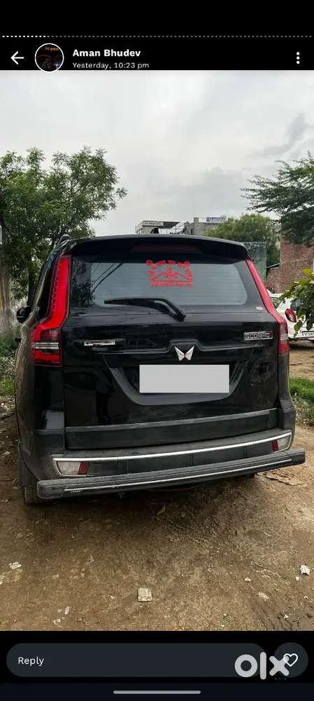 All Orginal Pent O% Scretch