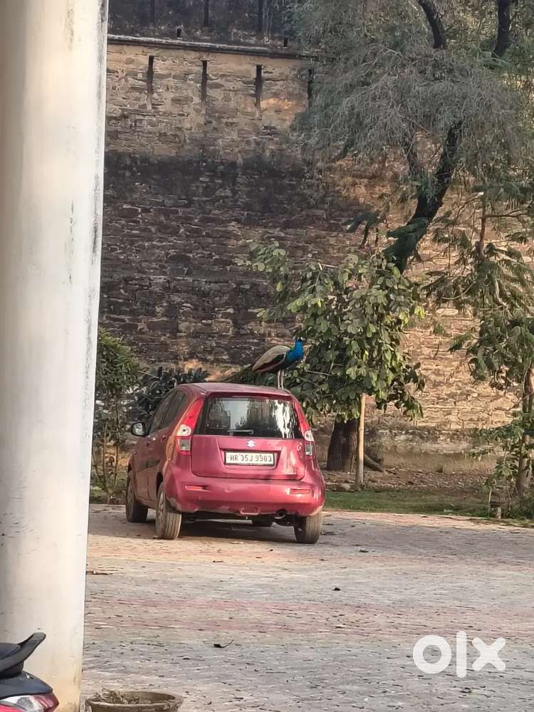 Maruti Suzuki Ritz 2014 Diesel Well Maintained