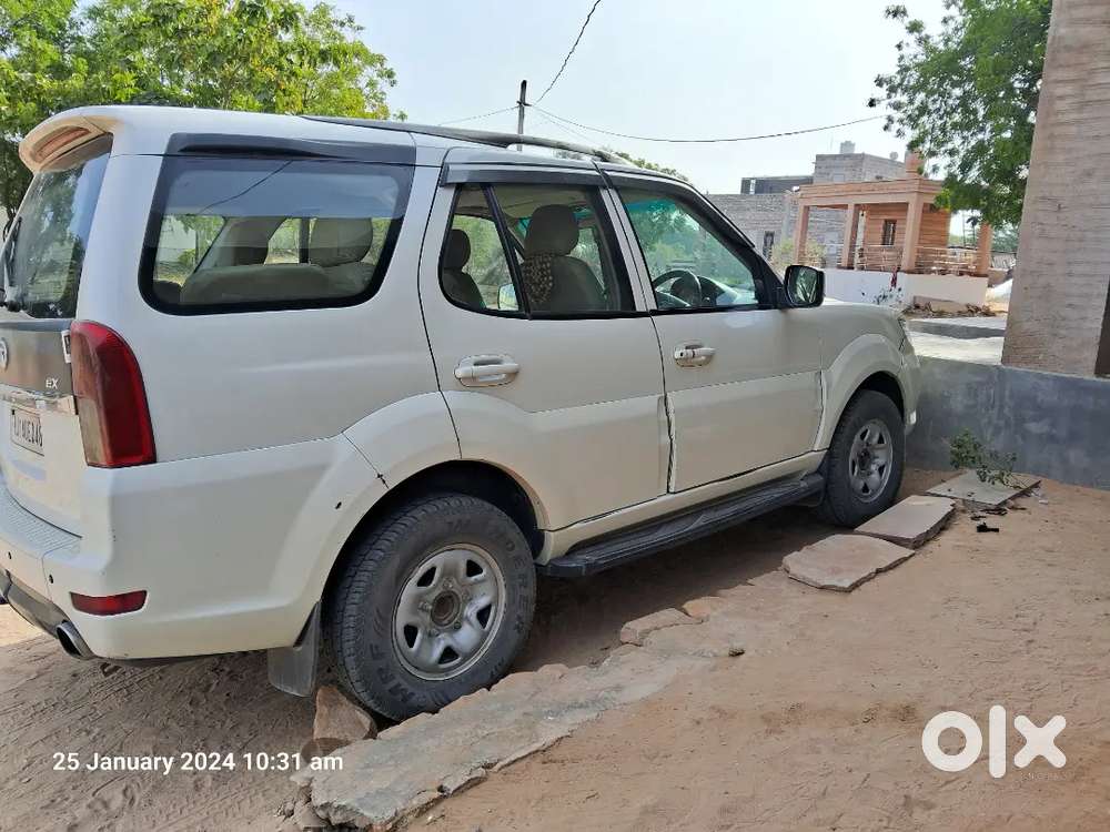 Safari Storme