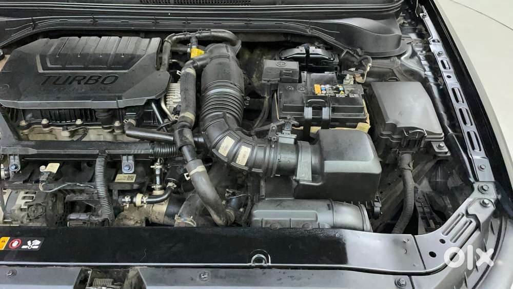 Hyundai Verna 1.5 Sx (o) Turbo Petrol Dct, 2024, Petrol