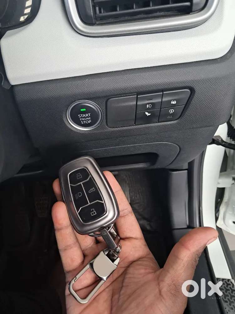 Accomplish Pluch Top 2 Very Ant Bat An Start