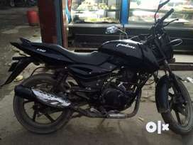 Pure black on sale pulsar 150