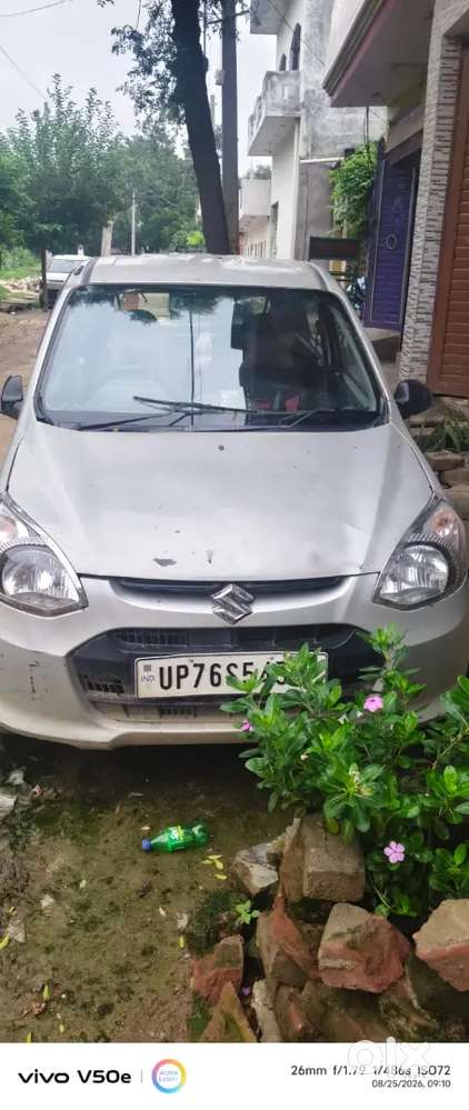 Maruti Suzuki Alto 800 2014
