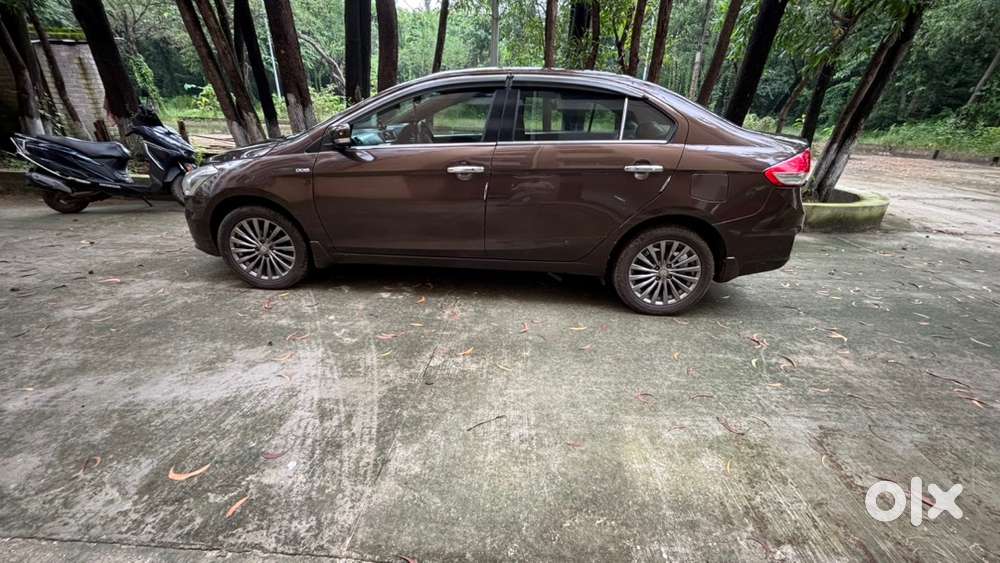Maruti Suzuki Ciaz 2017 Diesel Manual Zdi Shvs