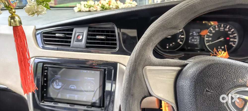 Government Employee Vehicle