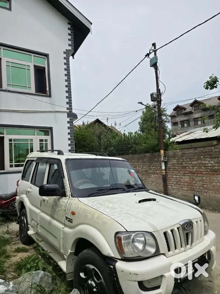 Scorpio Mhawk Talking Kashmiri Owner
