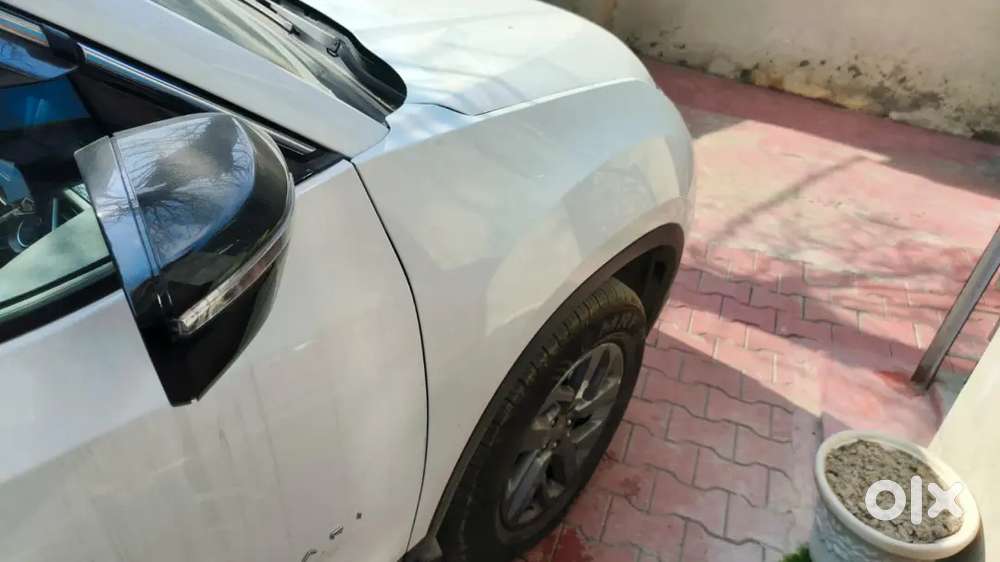 Tata Safari 2025 Diesel Well Maintained