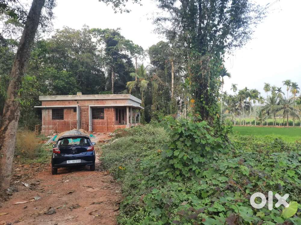 Lady Doctor Owned Tata Tiago