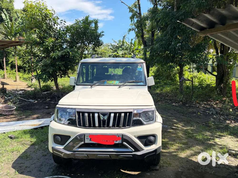 Mahindra Bolero Diesel 2025 Variant