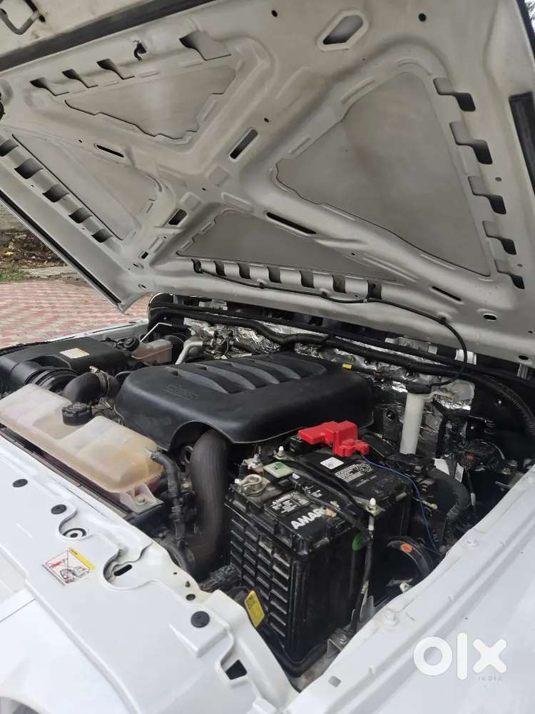 Thar Rox Automatic 4×4
