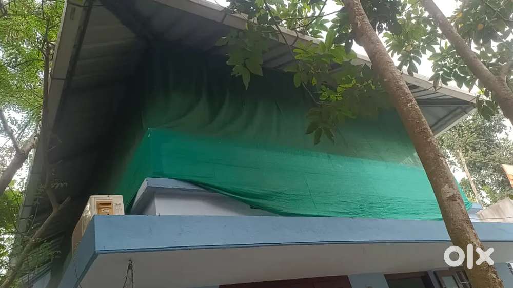 3 Cent plot with House For Sale, Near Neucleaus Mall Marad Kochi. For