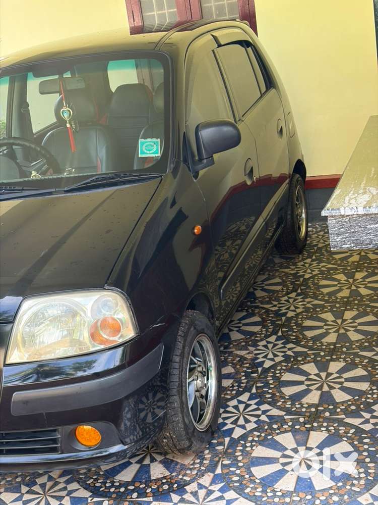 2007 Hyundai Santro Xing Manual