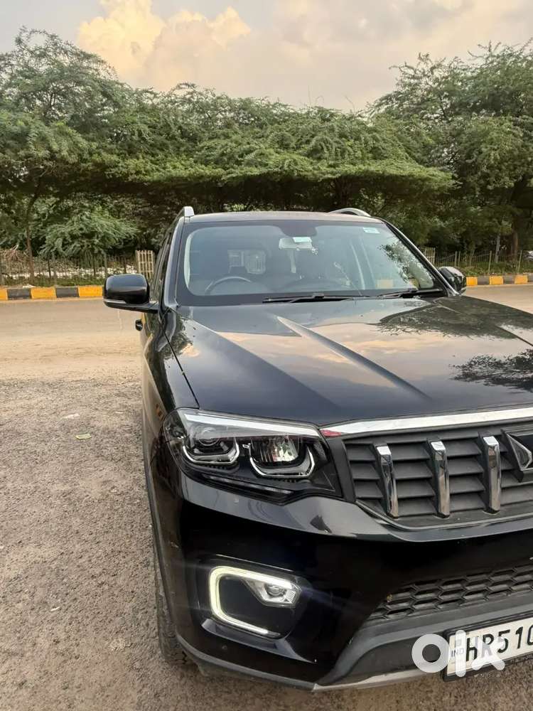 Scorpio Black Colour