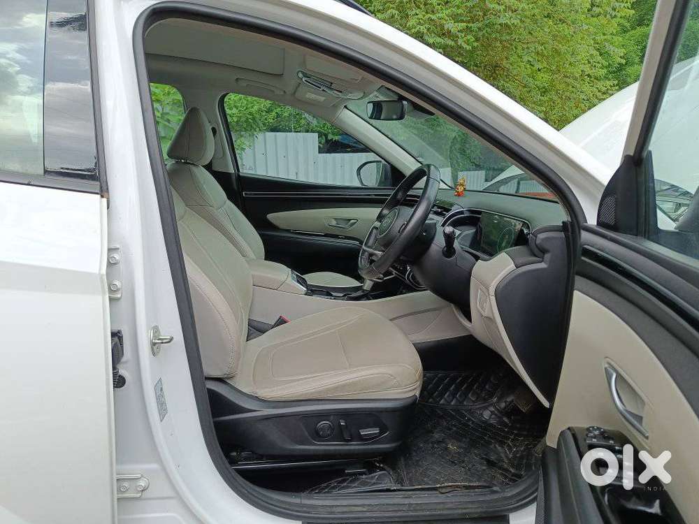 Hyundai Tucson 2.0 Platinum Petrol At, 2024, Petrol