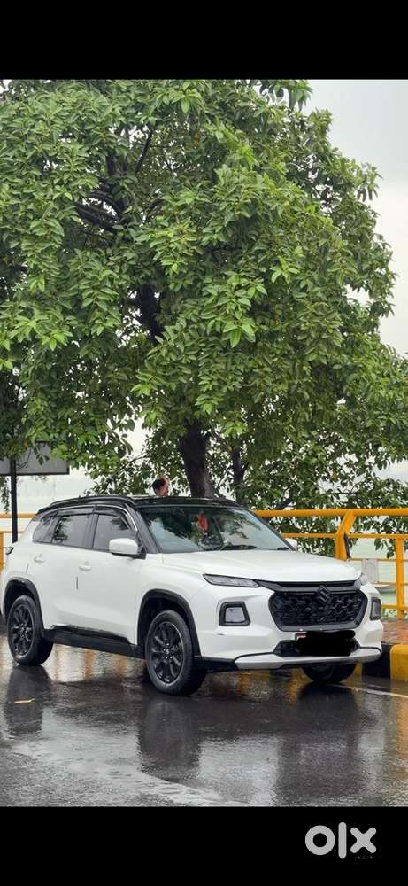 2024 Maruti Vitara Cng Hybrid Model Manual