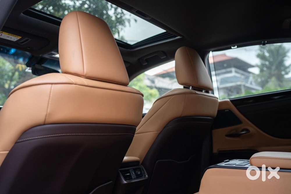 Lexus Nx Lexus-nx-300h-luxury, 2020, Cng & Hybrids
