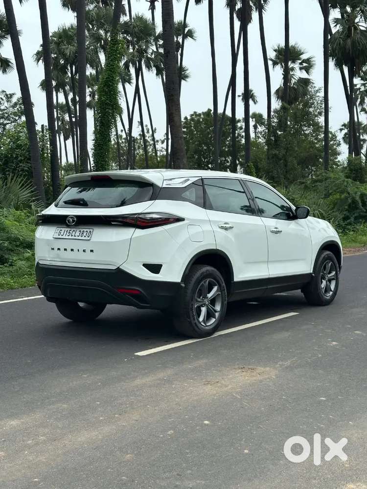 Tata Harrier Xt+ Sunroof