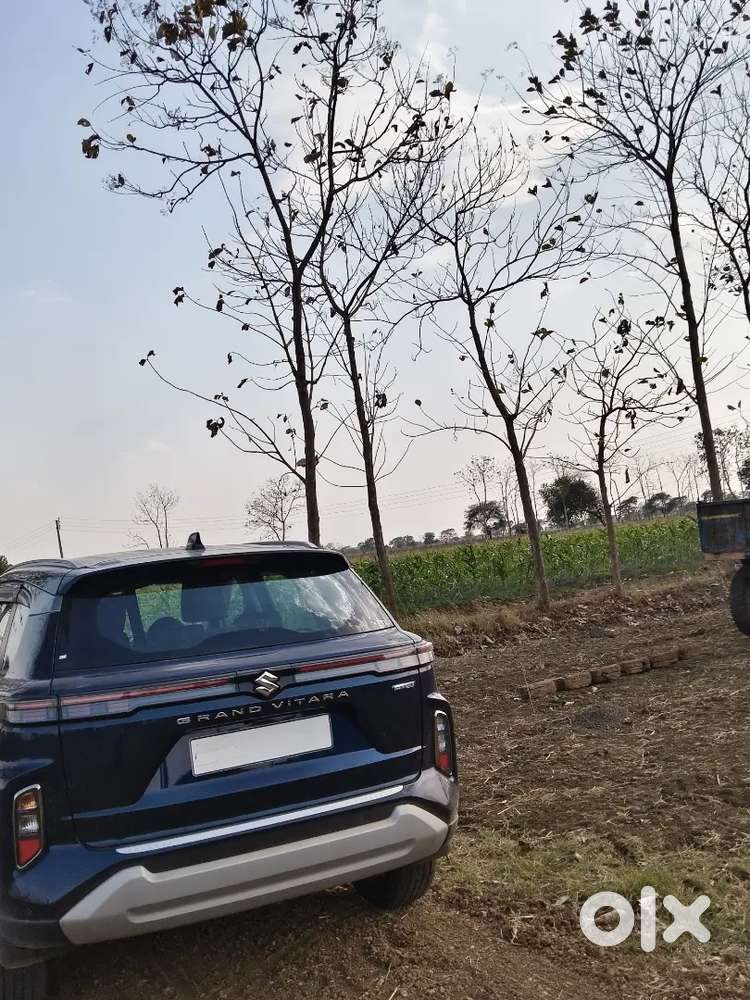 Maruti Suzuki Vitara 2026
