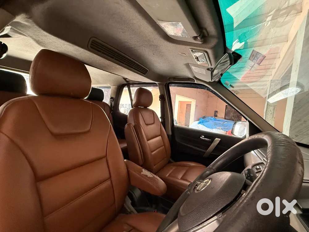 Vip Condition Top Model Safari Storme