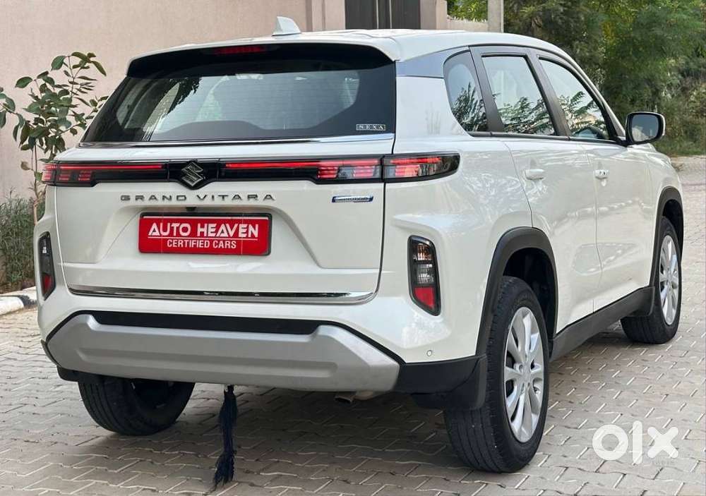 Maruti Suzuki Grand Vitara 1.5 Delta Smart Hybrid, 2024, Petrol