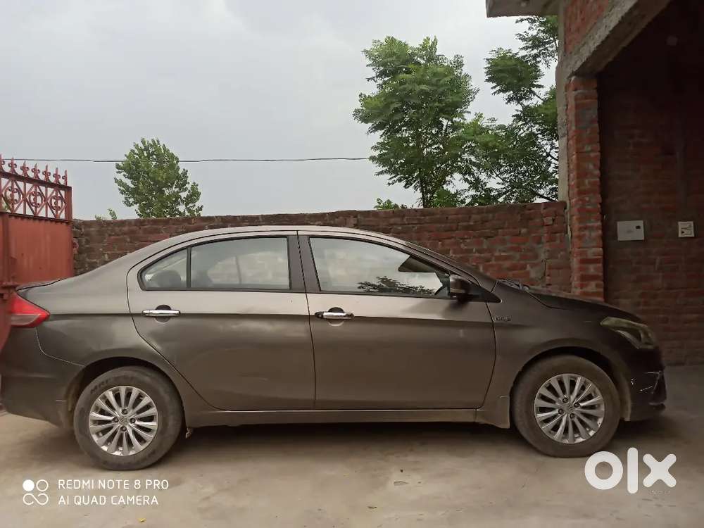 Maruti Suzuki Ciaz 2019 Diesel Good Condition