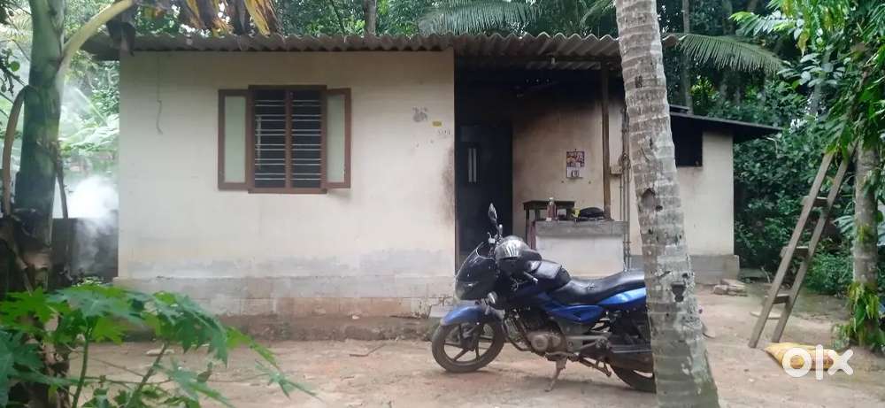 Small house for rent മണലുവിള
