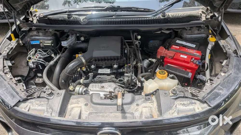 Tata Nexon Creative Plus 2024