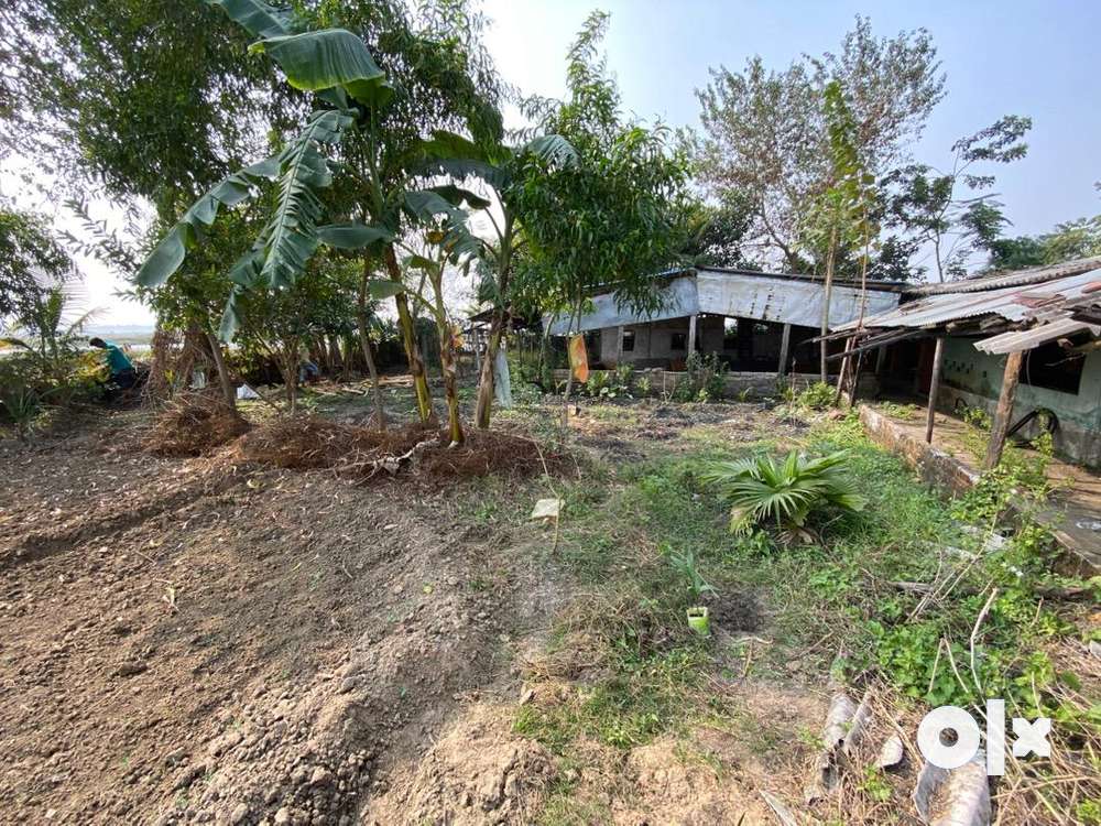 Farm Land With Farm House For Sale In Nimo - Lands & Plots - 1793495283