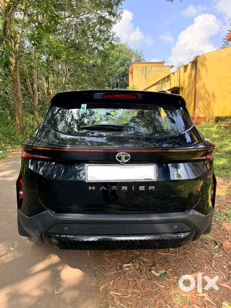 2024 Tata Harrier Diesel Automatic Year