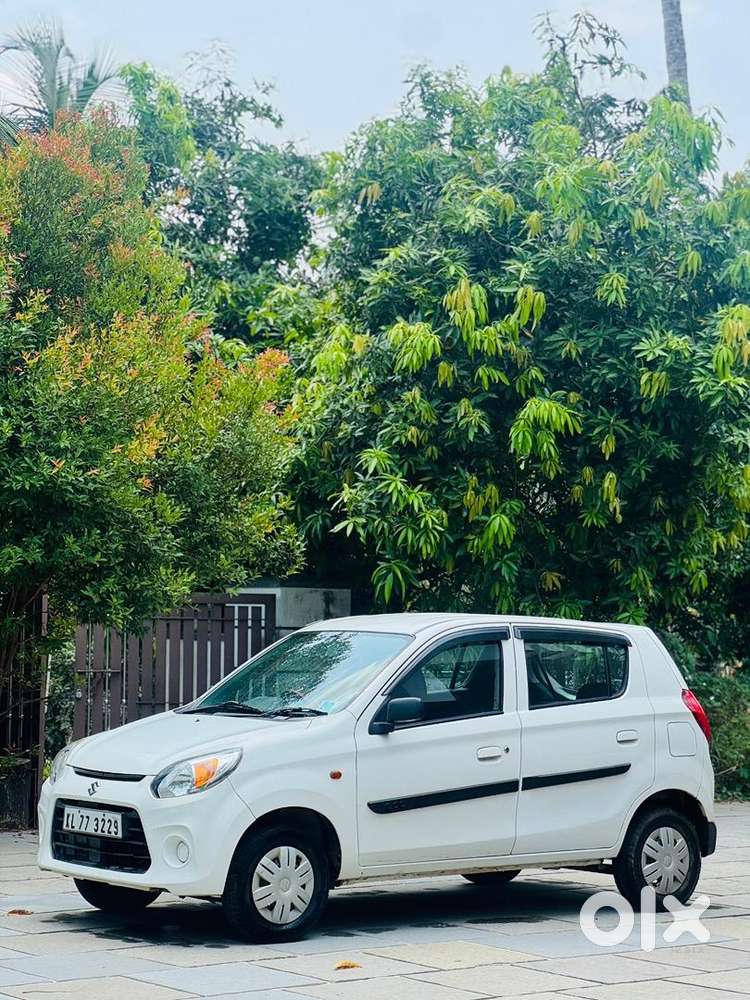 Alto 800 2019