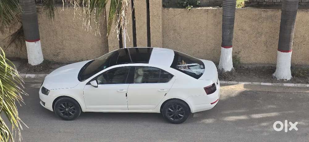 I Wanna Sale My Own Skoda Octavia