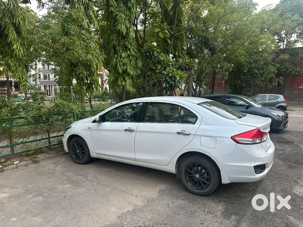 Maruti Suzuki Ciaz 2017 Diesel First Owner