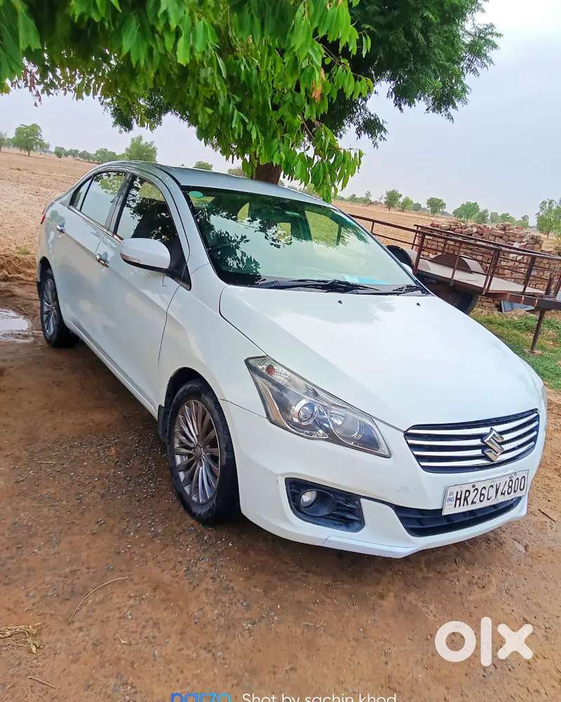 Maruti Suzuki Ciaz Diesel Good Condition