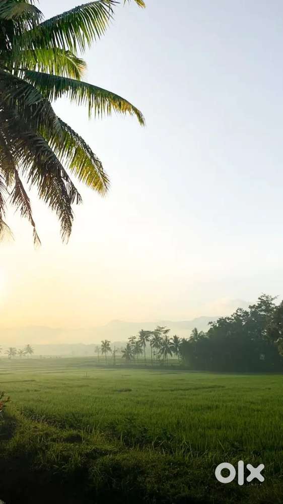 15 cent for sale near cochin international airport