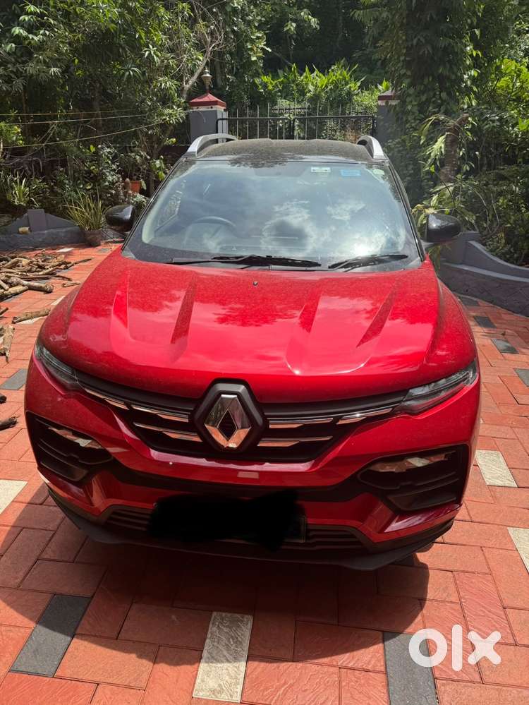 One Year Old Kiger For Sale