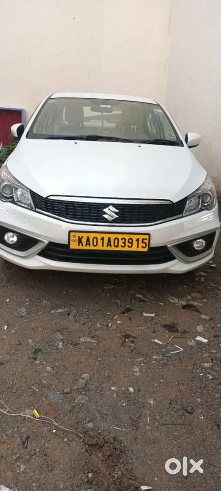 Maruti Suzuki Ciaz Delta 2024 Yea