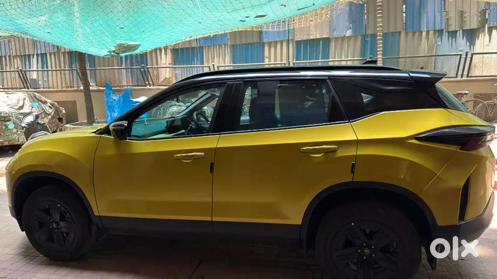 Harrier Adventure Plus Signature Edition
