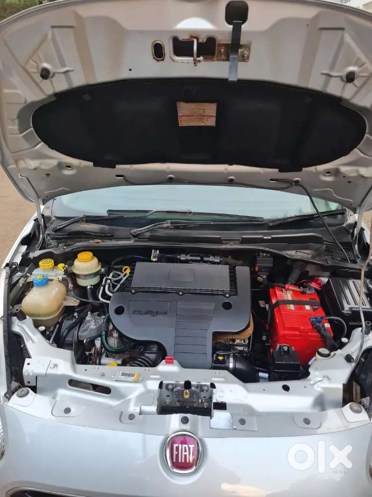Fiat Punto Car