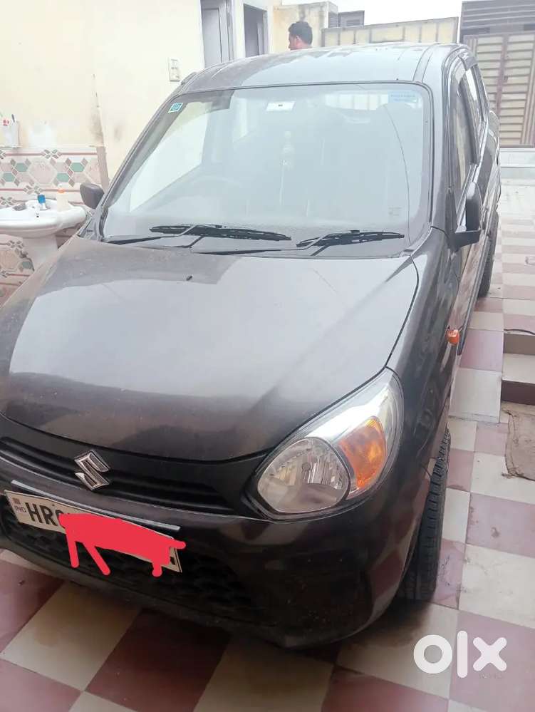 Bumper To Bumper Janeman Paint