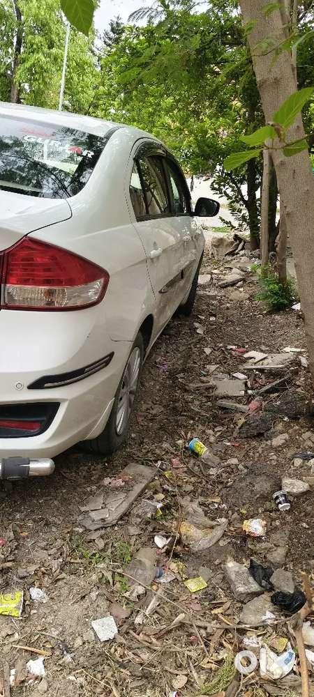 Maruti Suzuki Ciaz 1.5 Sigma 2024