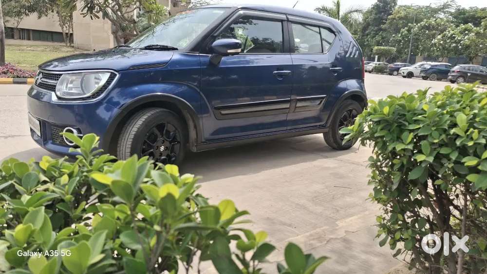 Maruti Suzuki Ignis 2018 Petrol 67000 Km Driven