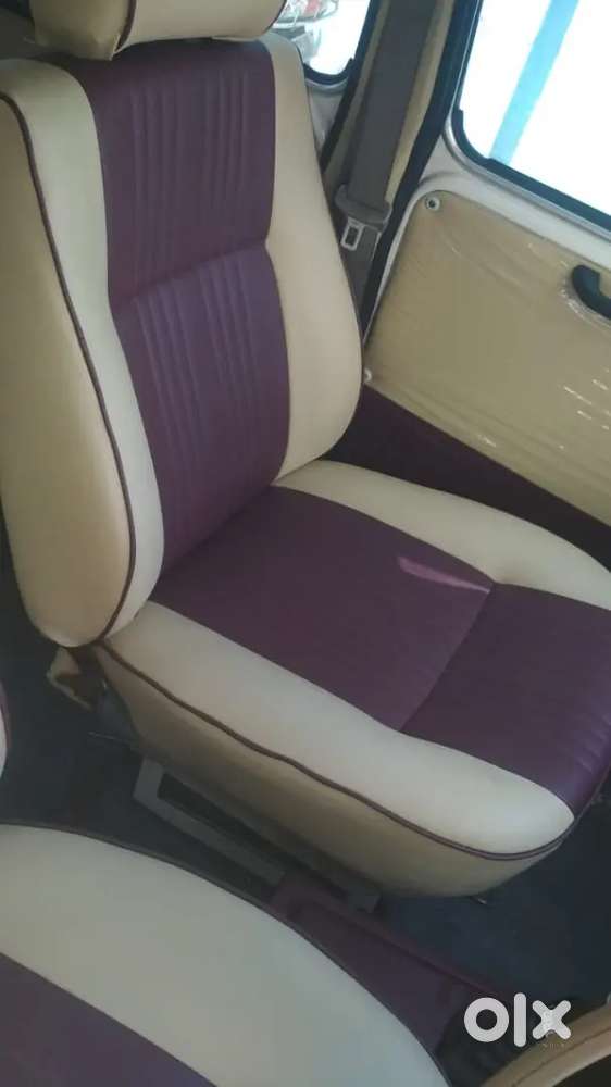 Ambassador Classic 2002 Dsz