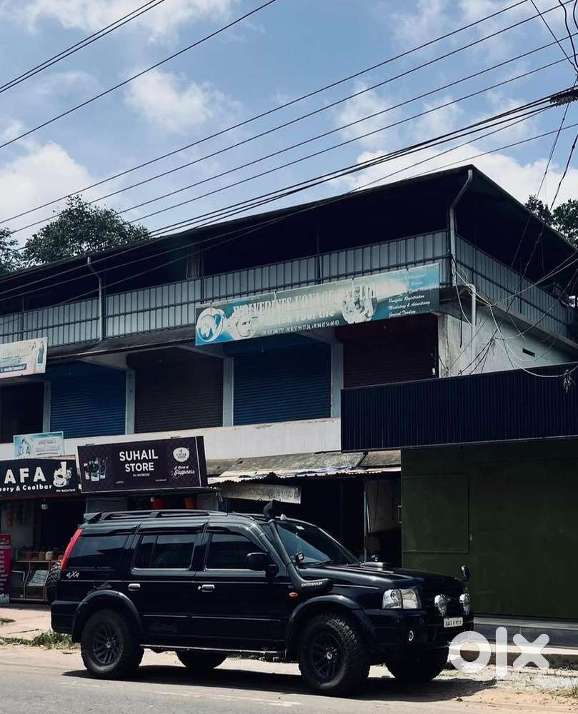 Offroad Tires, Decorative Arsthetic Accessories