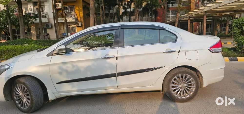 Maruti Suzuki Ciaz Alpha [ Top Model ] Available For Sale